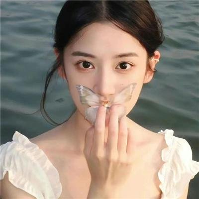 摩斯探长第十一季